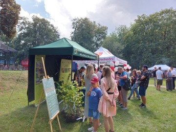 Relacja – Piknik z Województwem Łódzkim w Koluszkach , 